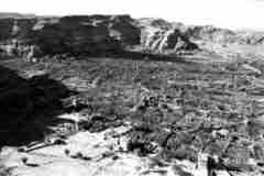 ���� ������ ��� ��� ����